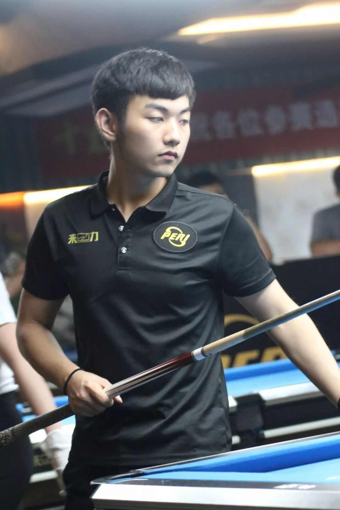 手们树立了 手们树立了