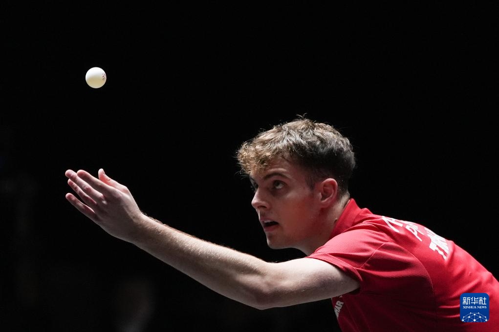 季的一场引 季的一场引