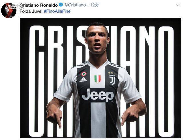 半年合同 半年合同